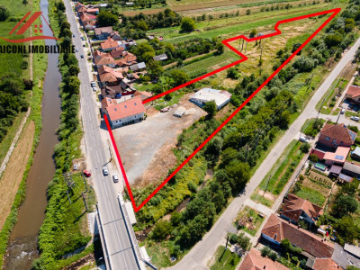 Clădire pensiune-restaurant cu hală și teren 7300mp, Făget ( Timiș )